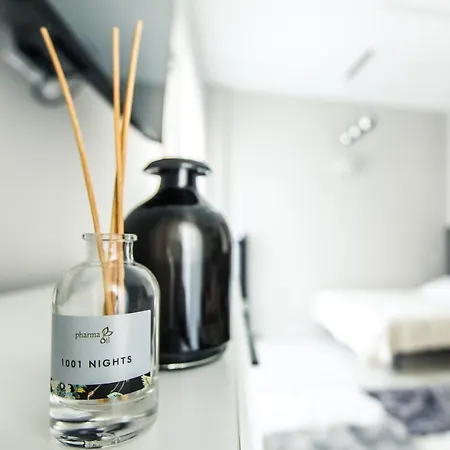 Apartament New Modern In The Old Town