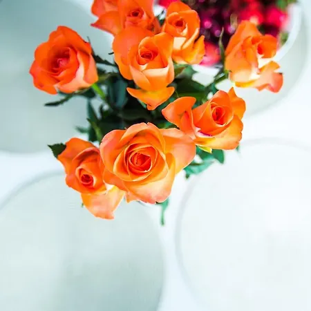 New Modern In The Old Town Apartament Ryga