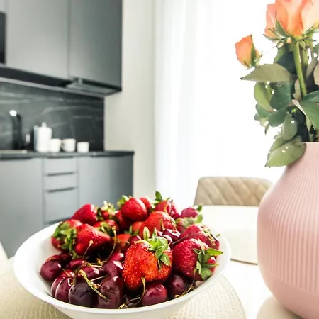 Apartment New Modern In The Old Town Riga