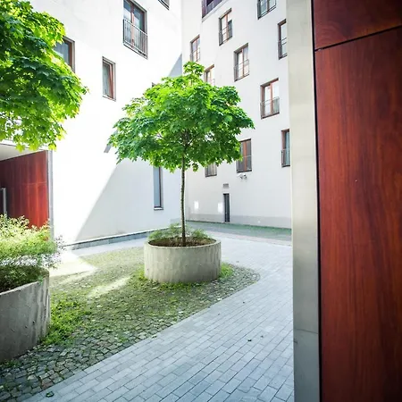 New Modern In The Old Town 公寓 里加